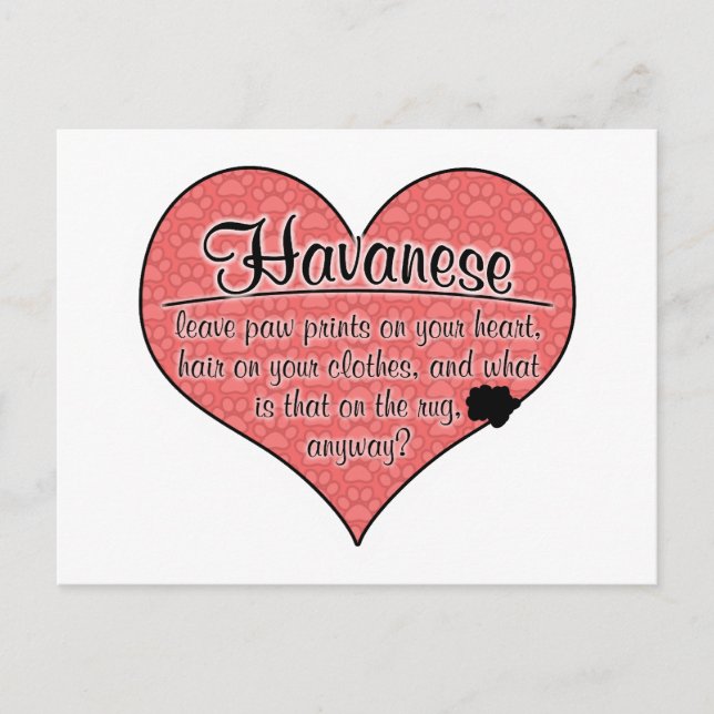 Havanese Tass avtryck Dog Humor Vykort (Framsida)