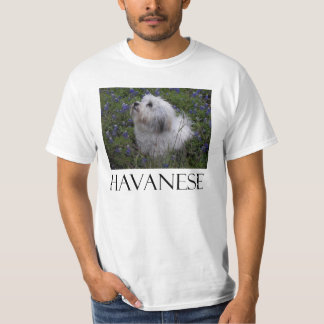 HAVANESE TRÖJA