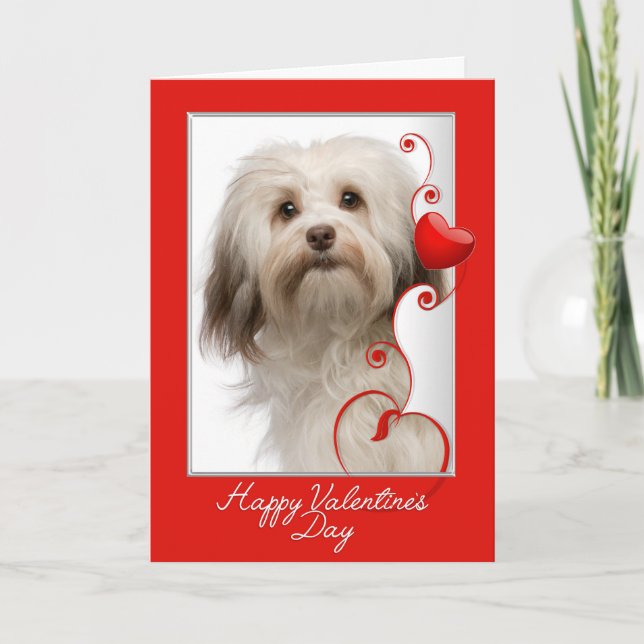 Havanese Valentine Day Card Helgkort (Framsida)