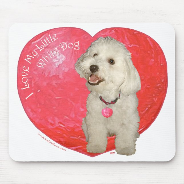 Havanese Valentine Day Musmatta (Framsidan)