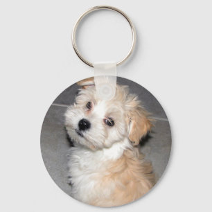 Havanese valp nyckelring