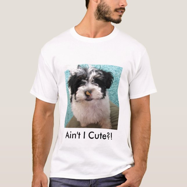 Havanese valp tee (Framsida)