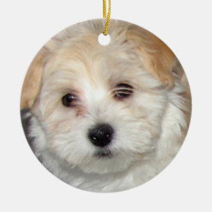 Havanese valpprydnad julgransprydnad keramik