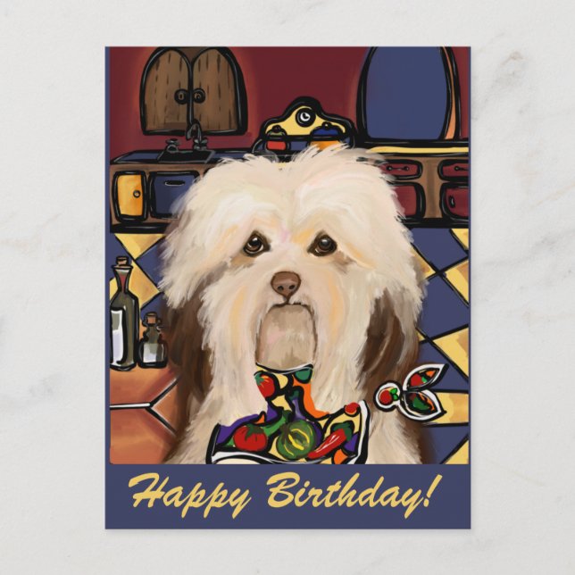 HAVANESE     VYKORT (Framsida)
