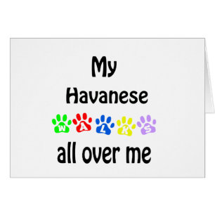 Havanese Walks Design Hälsningskort