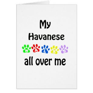 Havanese Walks Design Hälsningskort
