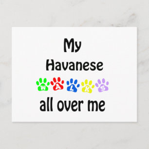 Havanese Walks Design Vykort