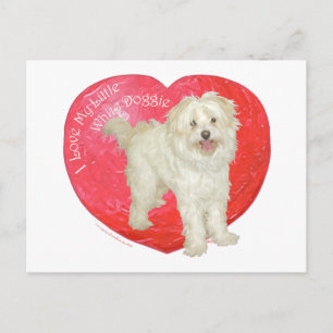 Havanese/Westie blandningvalentin dag Helg Vykort
