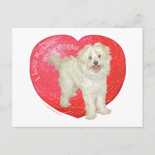Havanese/Westie blandningvalentin dag Helg Vykort (Framsida)