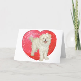 Havanese / Westie Mix Alla hjärtans dag Helgkort