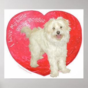 Havanese / Westie Mix Alla hjärtans dag Poster