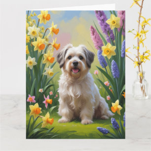 Havaneser Hund Vårblommor Målning Kort