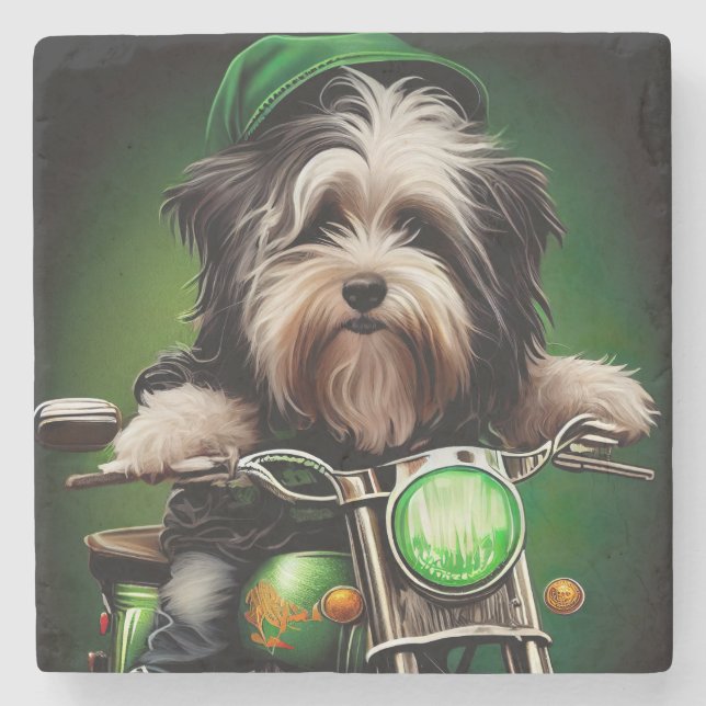 Havanesiska hund kör cykel St. Patrick's Day Stenunderlägg (Framsidan)