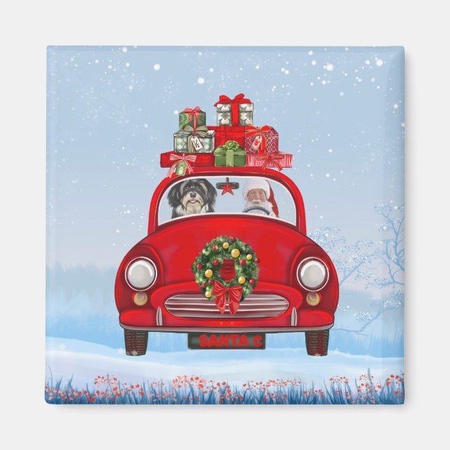 Havanesiska hundar i bil med tomte magnet (Framsidan)