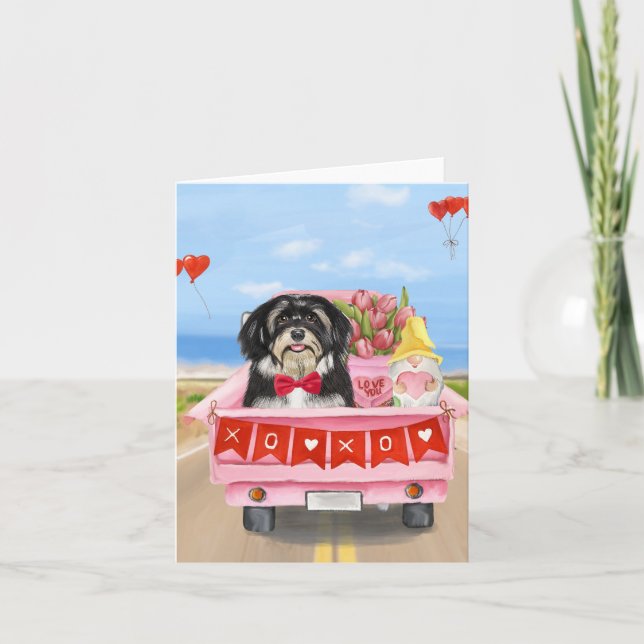 Havanesiska hundar Valentinesdag lastbil  Kort (Framsida)
