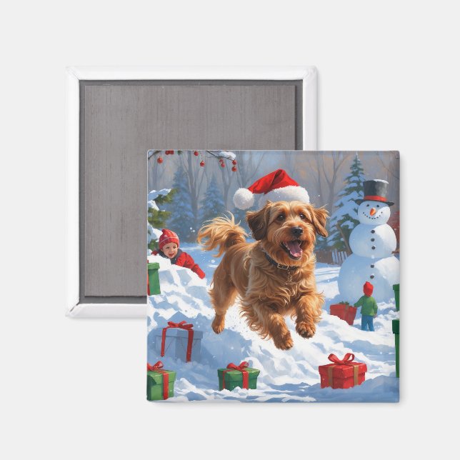 Havanesiska springer i snö med julhatt magnet (Front/Back)
