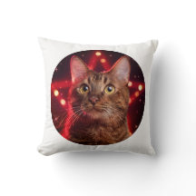 Havanna Brown Cat (med ryggrad av stärkelse)