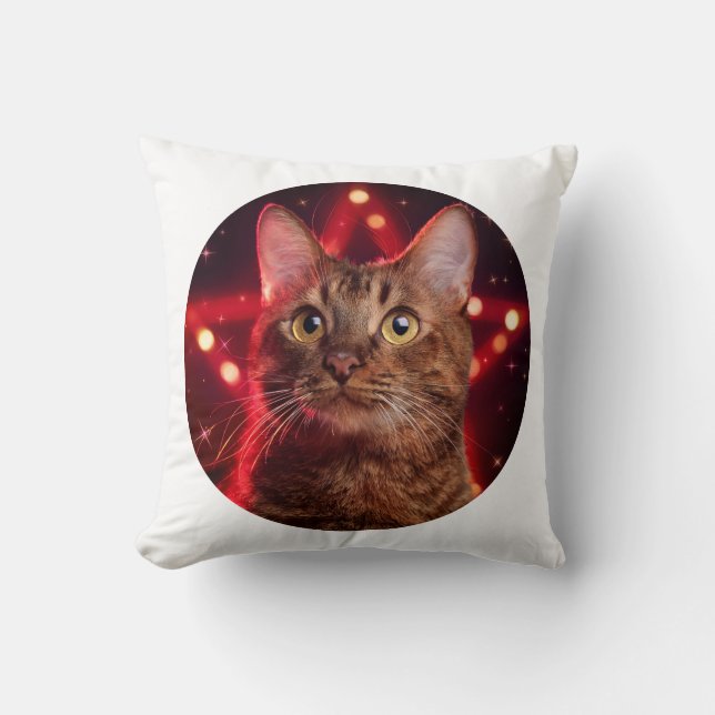 Havanna Brown Cat (med ryggrad av stärkelse) Kudde (Framsida)