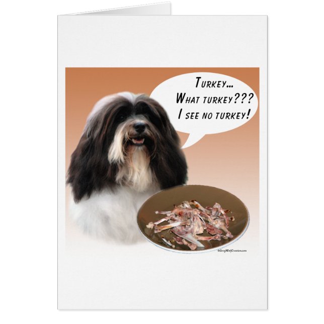 Havanna Turkiet Hälsningskort (Framsidan)