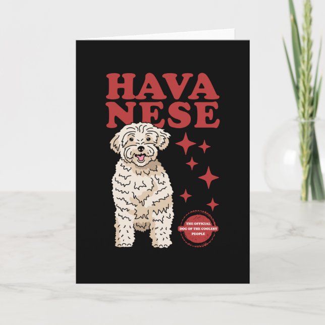 Havansk Hund av kolest | Havanna Kort (Framsida)