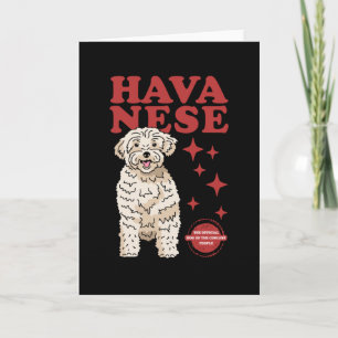 Havansk Hund av kolest Havanna Kort