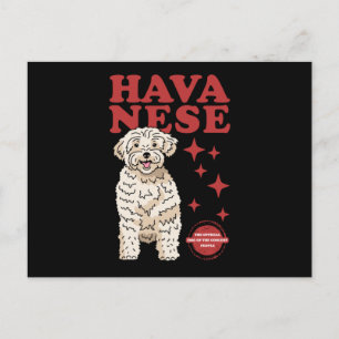Havansk Hund av kolest Havanna Vykort