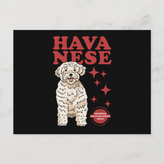 Havansk Hund av kolest | Havanna Vykort