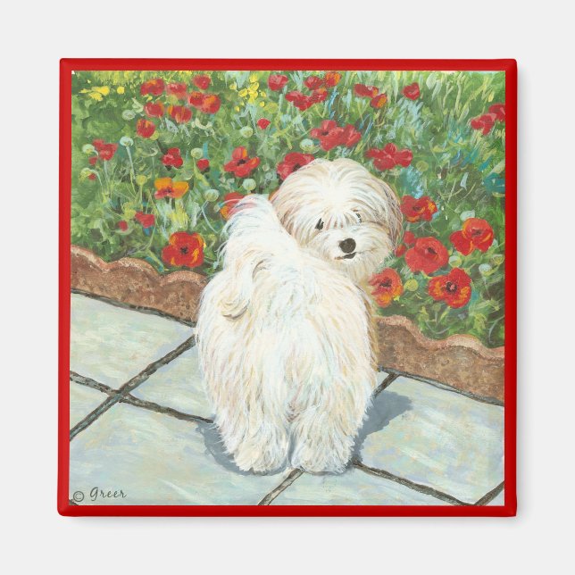 Havanska Hund- och poppies Art Print Magnet (Framsidan)