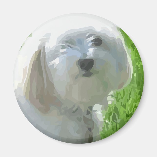 Havanska Magnet (Framsidan)