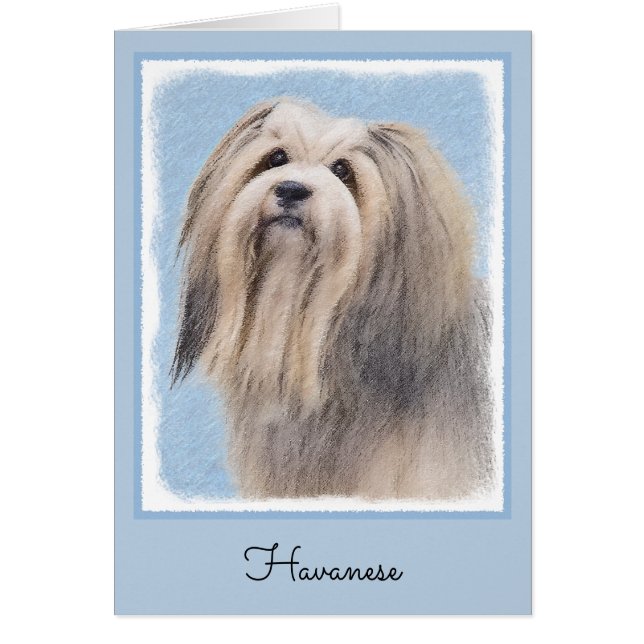 Havanska (Silver) målning - Cute Original Hund Art Hälsningskort (Framsidan)