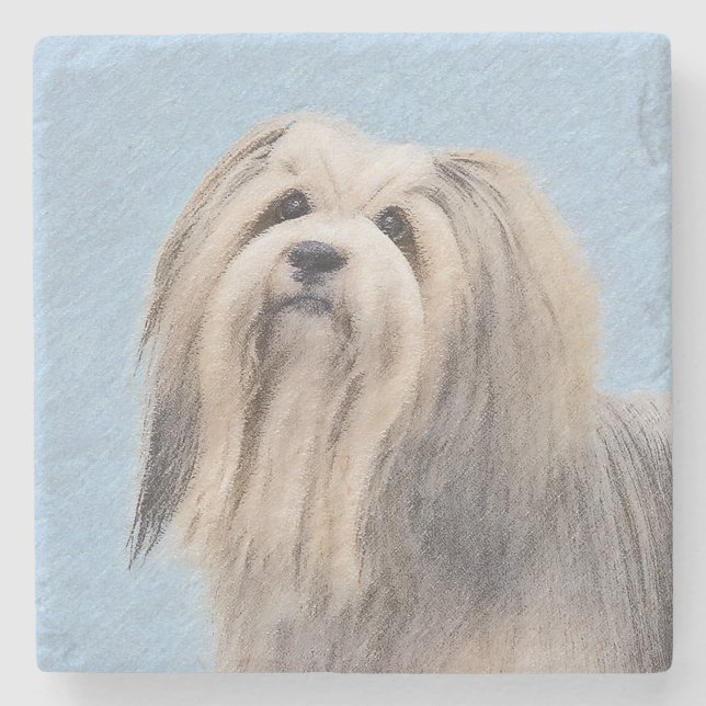 Havanska (Silver) målning - Cute Original Hund Art Stenunderlägg (Framsidan)