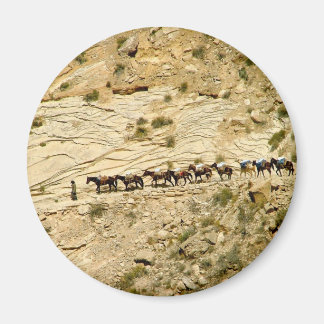 Havasu Canyon Pack Tåg Magnet