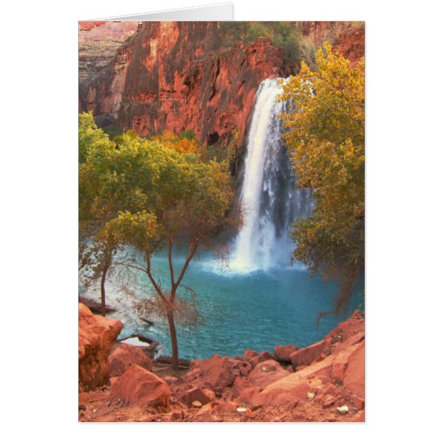 Havasu Falls Waterfall, sydväst Hälsningskort (Framsidan)