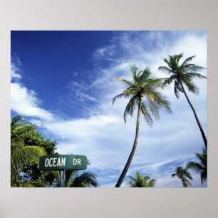 HavDrive vägmärke, södra strand, Miami som är Poster