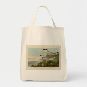 Havells och Trudeaus Tern Audubon Birds of America Tygkasse