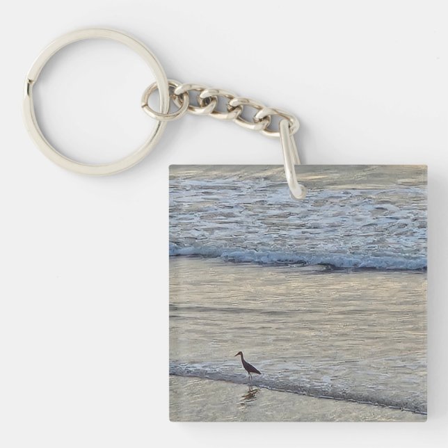 Haven tern (Framsidan)