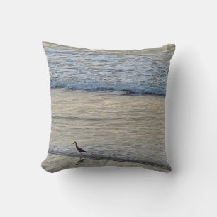 Haven tern kudde