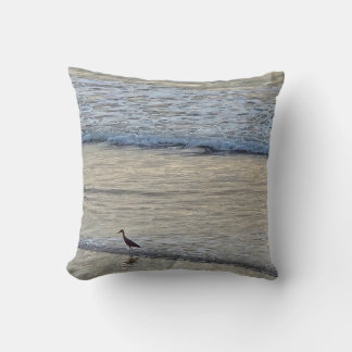 Haven tern kudde