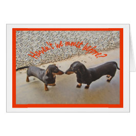 Havent som vi mötte för? Humor Hälsningskort