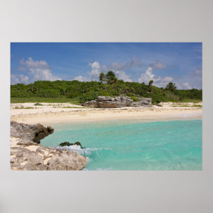 Havet och djungeln poster