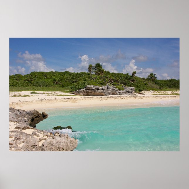 Havet och jungeln poster (Framsidan)