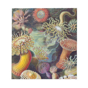 Havets anemonart anteckningsblock