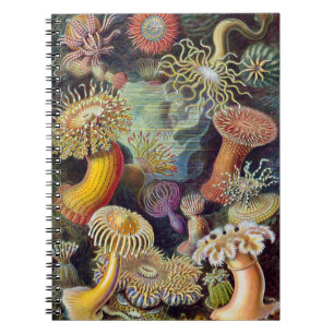 Havets anemonart anteckningsbok med spiral