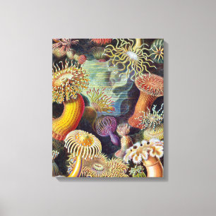 Havets anemonart canvastryck