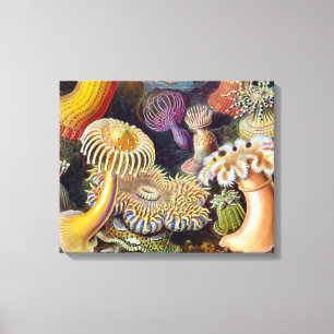 Havets anemonart canvastryck