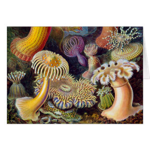 Havets anemonart hälsningskort