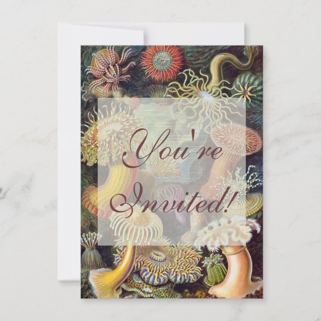 Havets anemonart inbjudningar (Framsida)