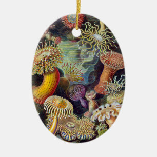 Havets anemonart julgransprydnad keramik