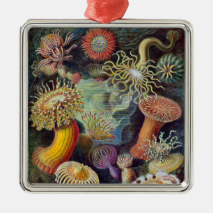 Havets anemonart julgransprydnad metall