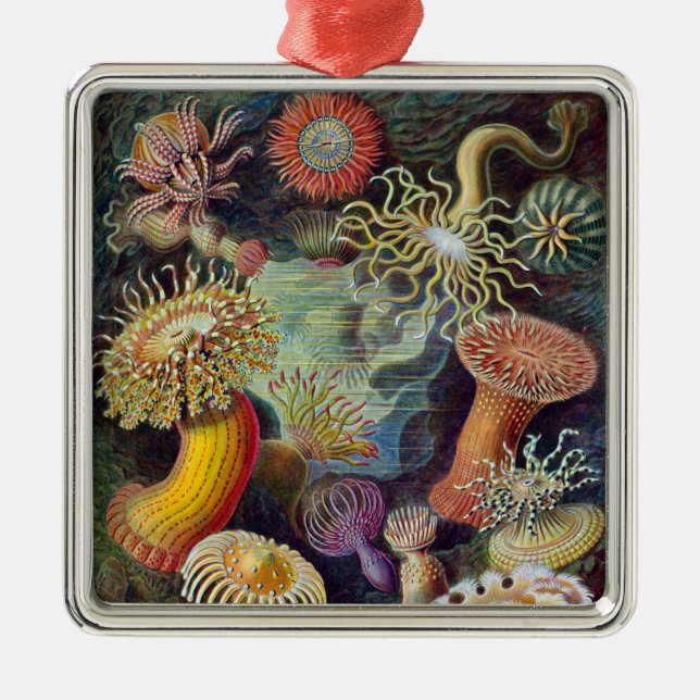 Havets anemonart julgransprydnad metall (Framsidan)